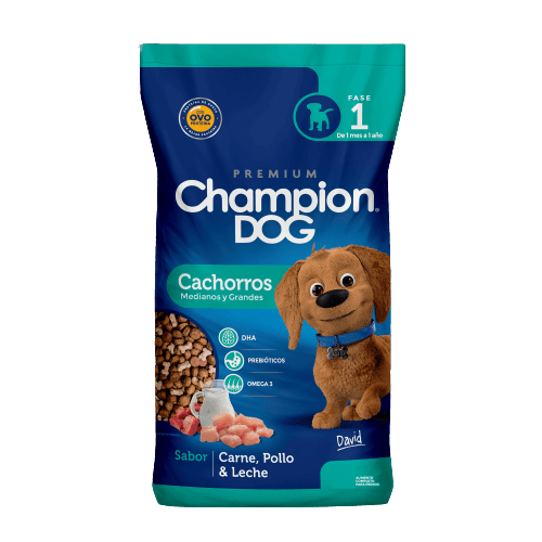 67828370773954-cachorro