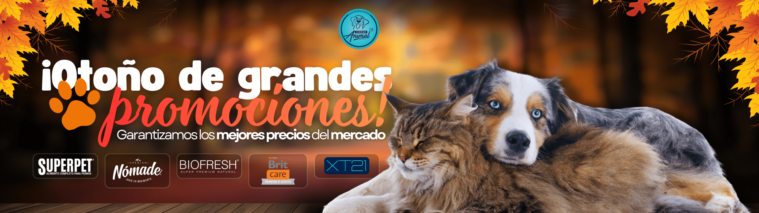 banner web ciudad animal