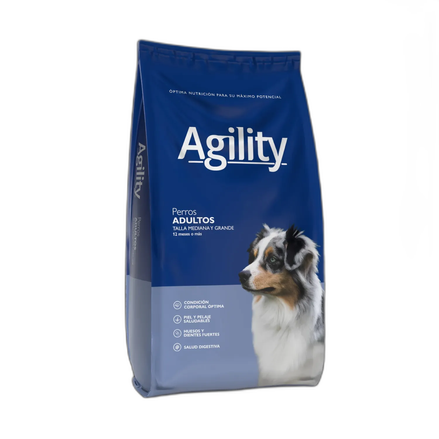 AGILITYPERROA15