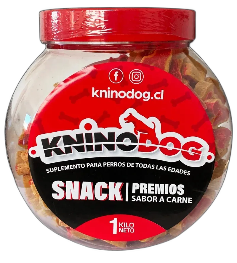 KNS1