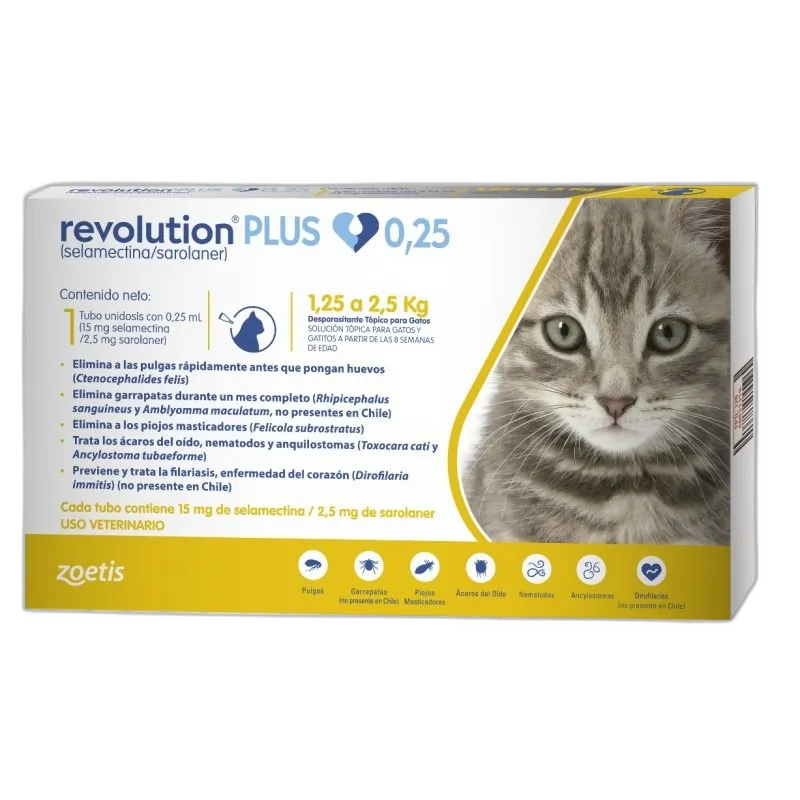 REV13