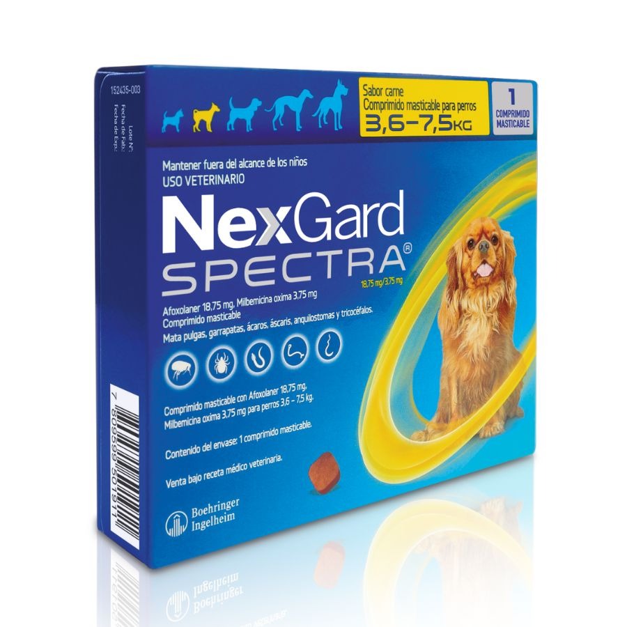 SPECTRA02