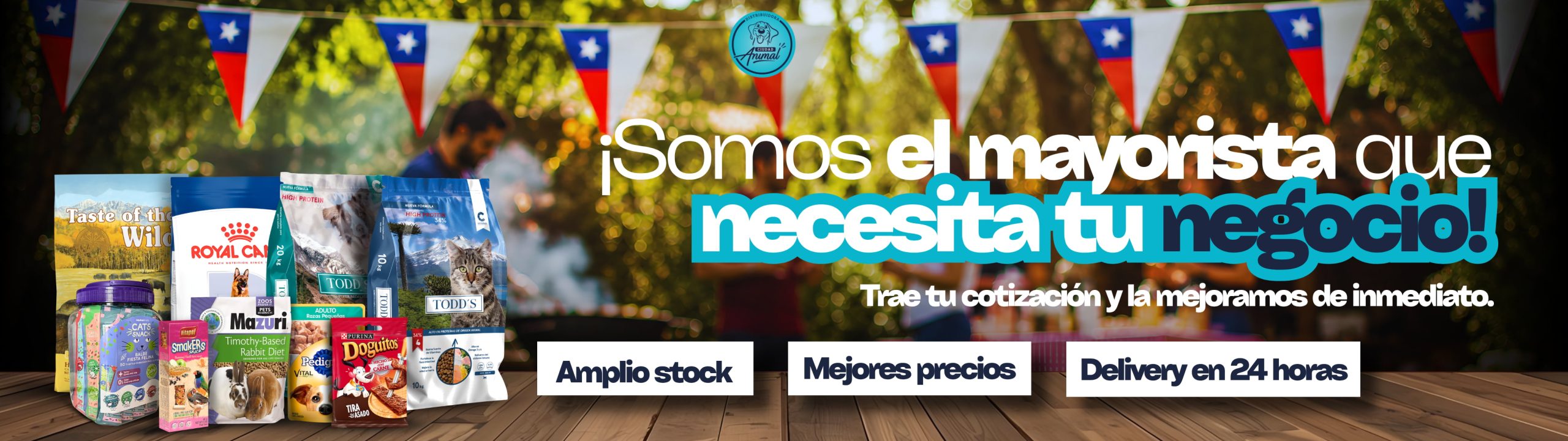 banner principal sep