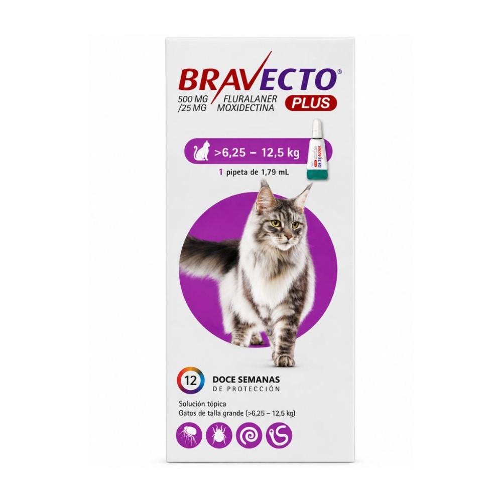 BRAVR1